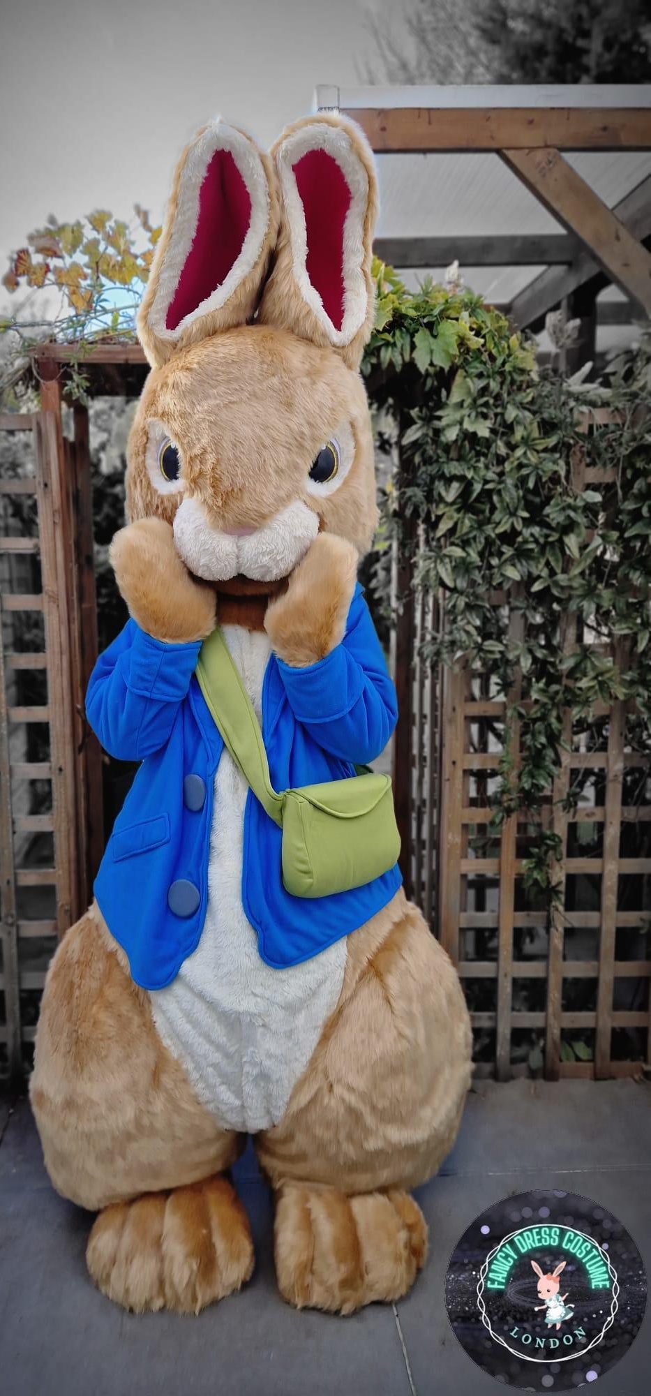 Peter Rabbit Look a Like Costume