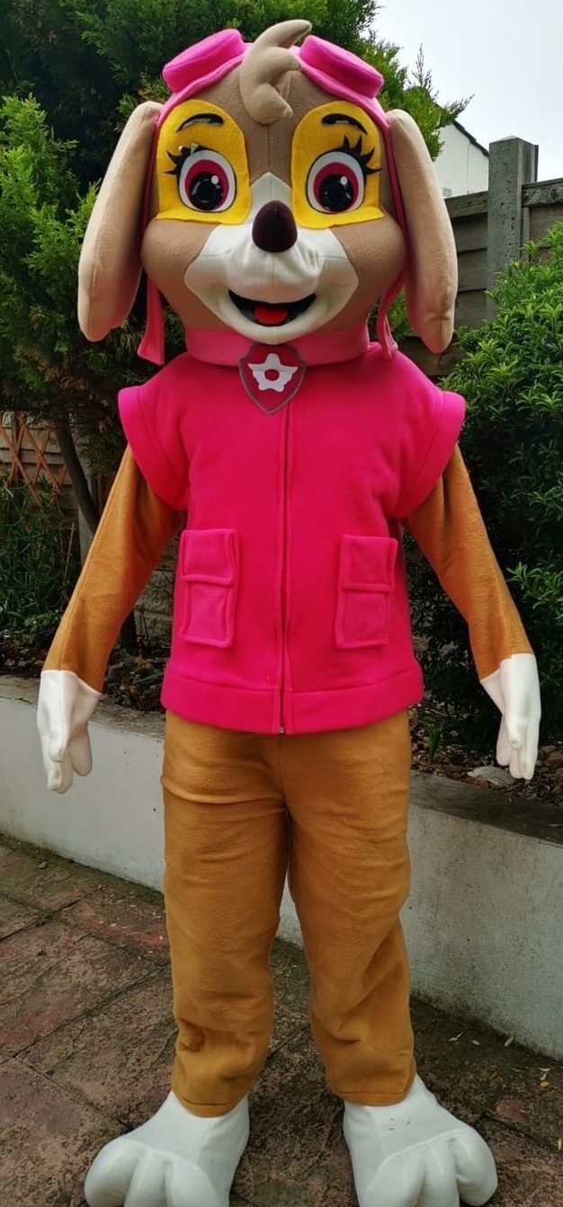 Sky - Look a like costume