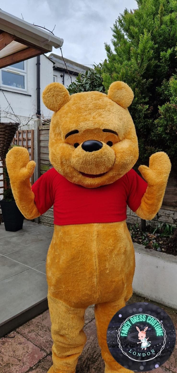 Winnie the Pooh look like a costume