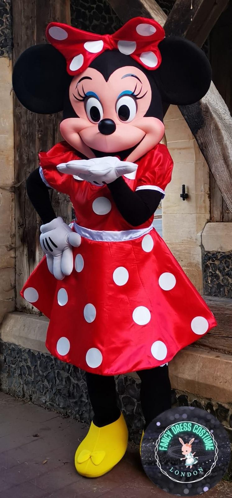 Red Minnie Mouse Look a Like Costume