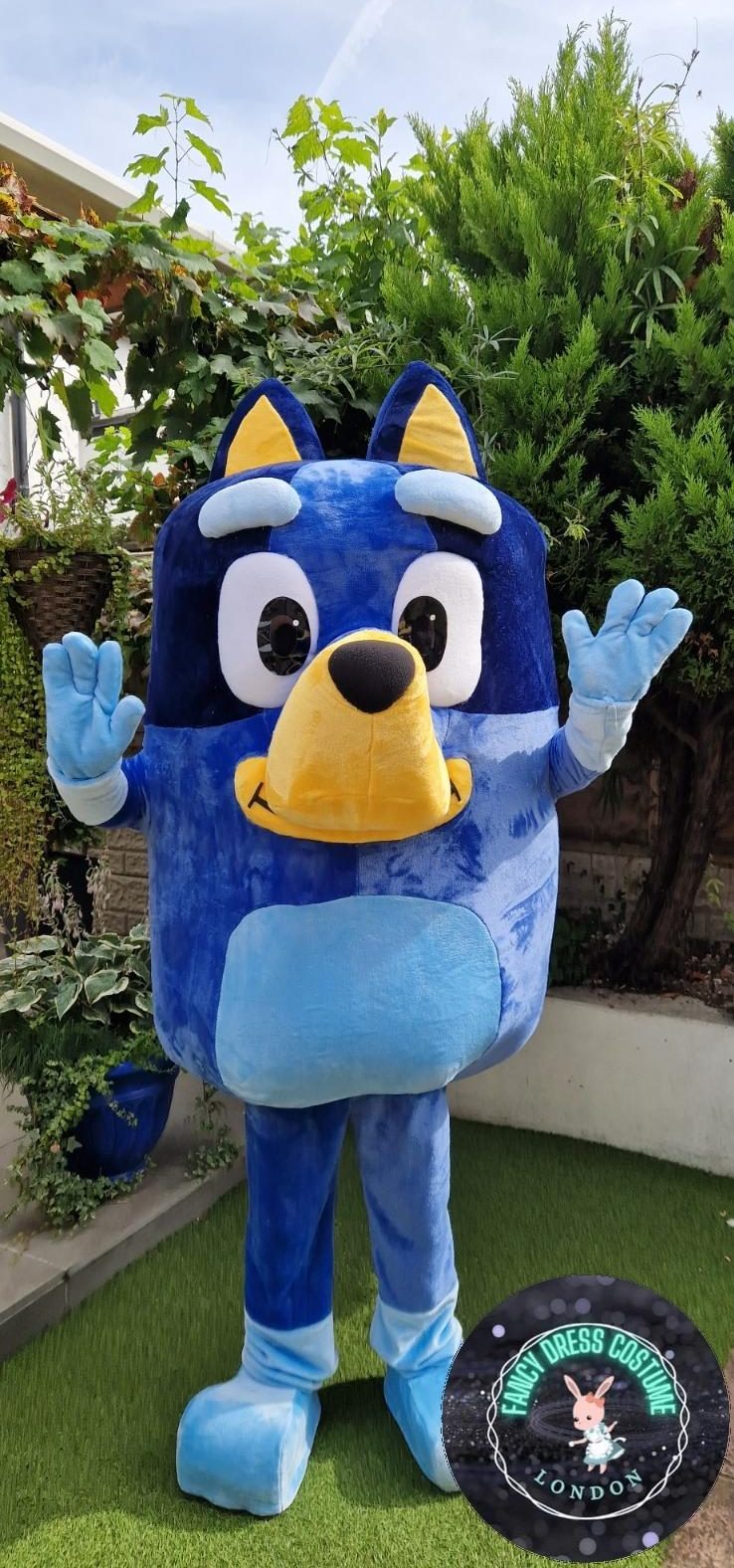 Bluey B Look a Like Costume