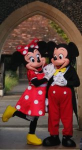 Minnie and Mickey Mouse Special offer, 70 £ for two