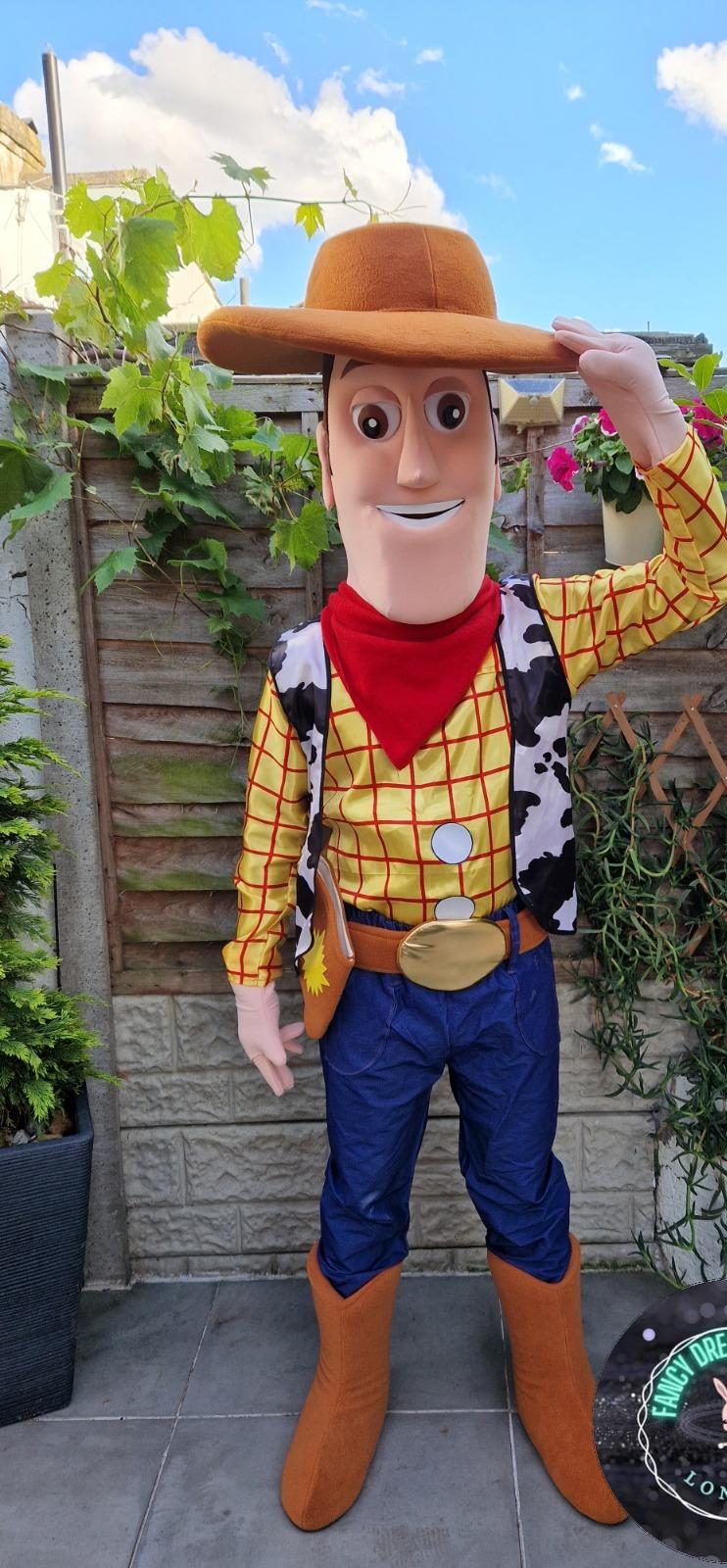 Woody Costume Hire London